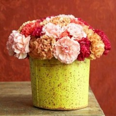 #23-Carnations